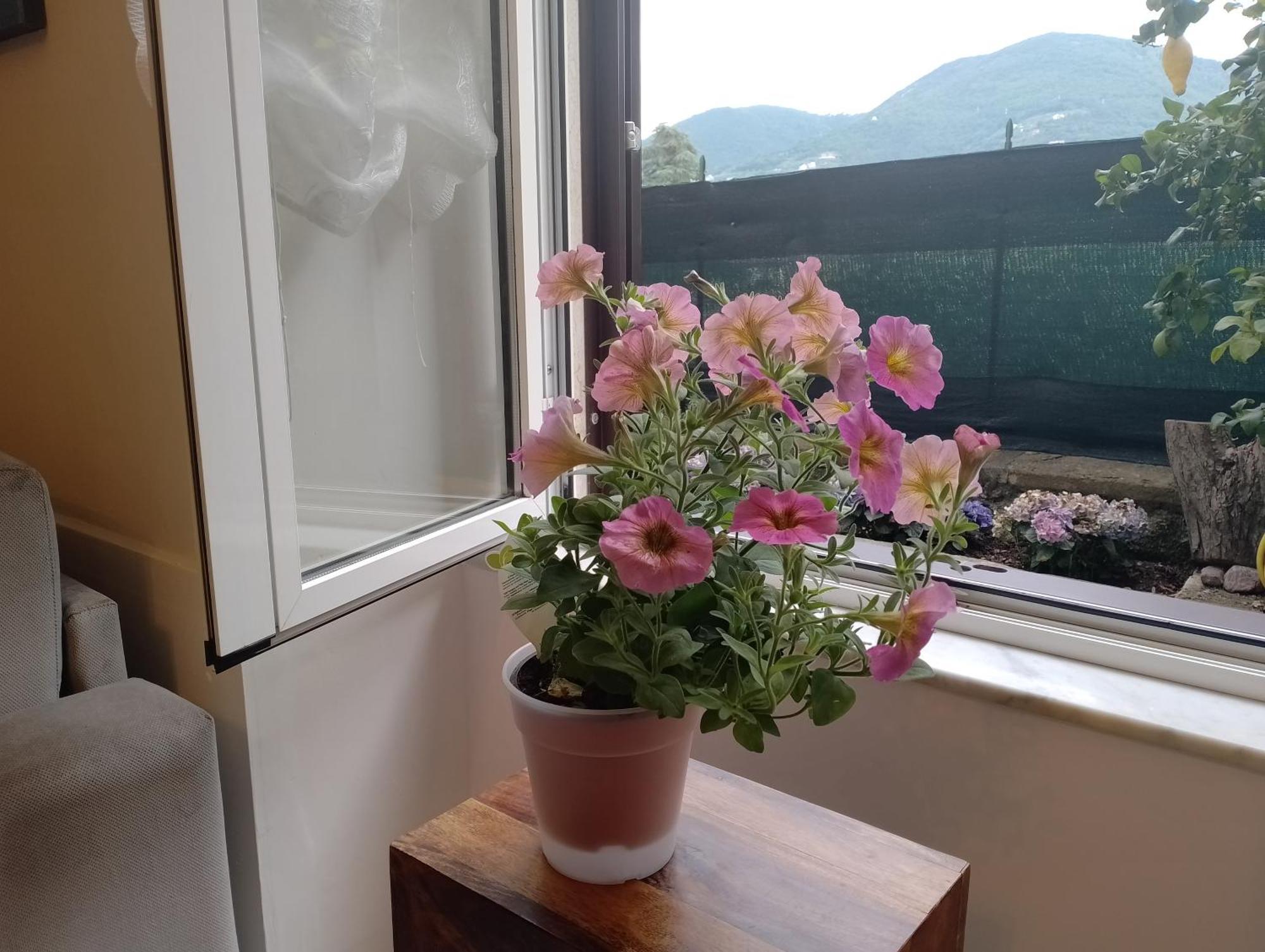 Casa Veve' Lägenhet La Spezia Exteriör bild